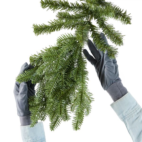 BH Balsam Fir® Trees - Image 4
