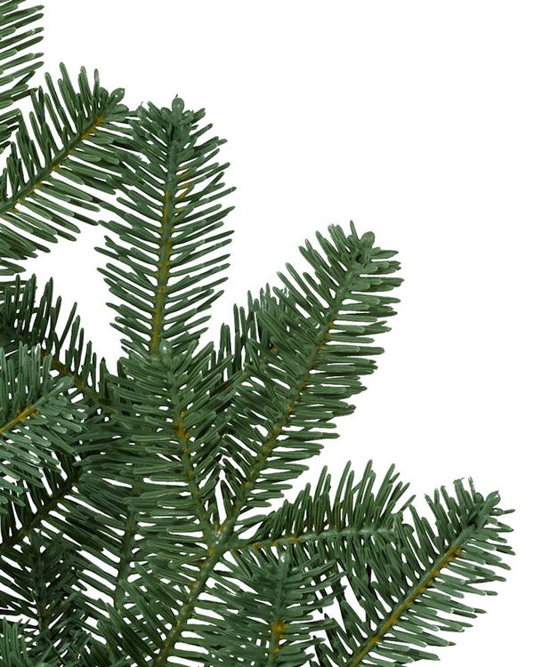 BH Balsam Fir® Trees - Image 3