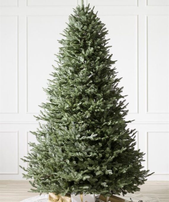 BH Balsam Fir® Trees