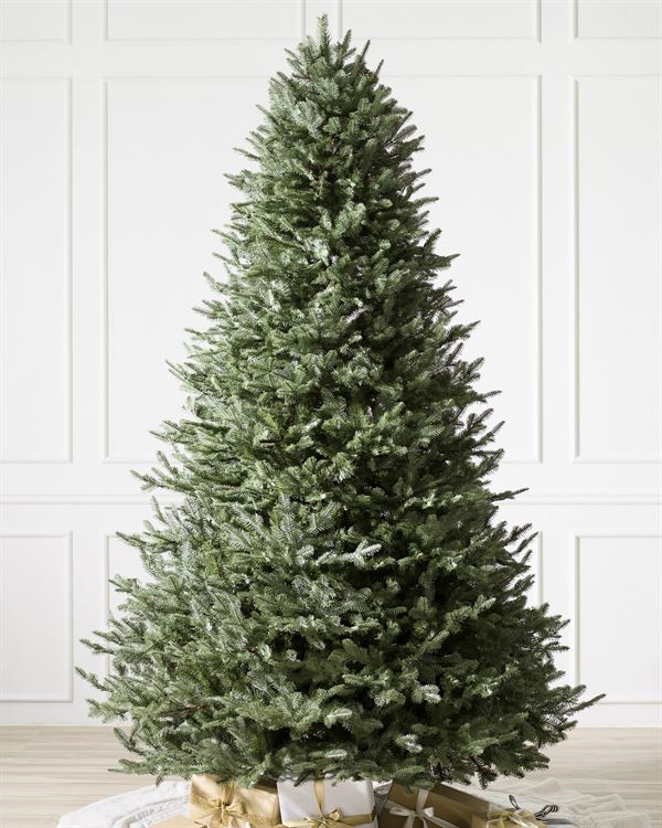 BH Balsam Fir® Trees