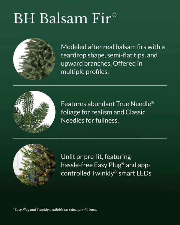 BH Balsam Fir® Trees - Image 5