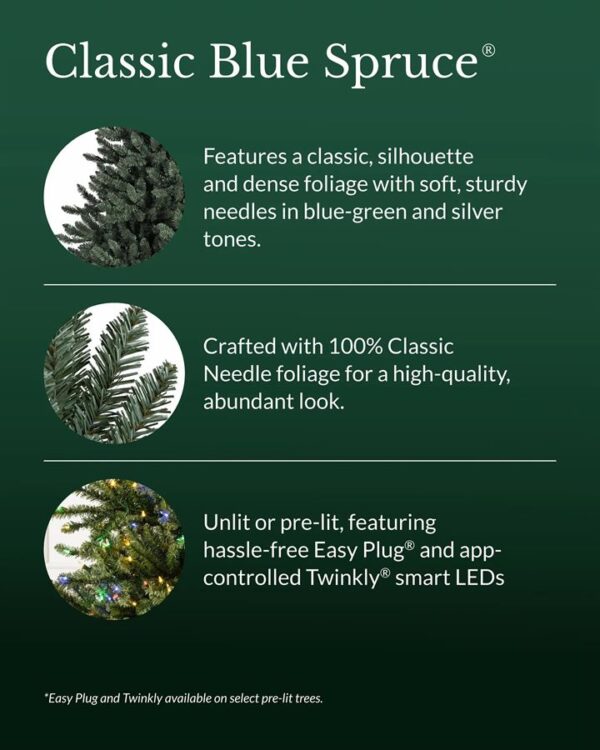 Classic Blue Spruce® Trees - Image 16