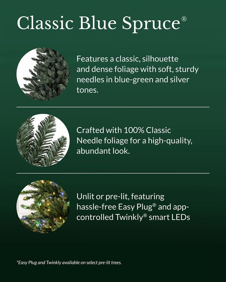 Classic Blue Spruce® Trees - Image 16