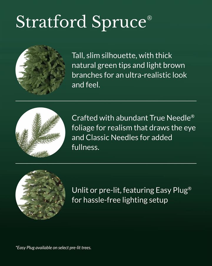Stratford Spruce® Trees - Image 5
