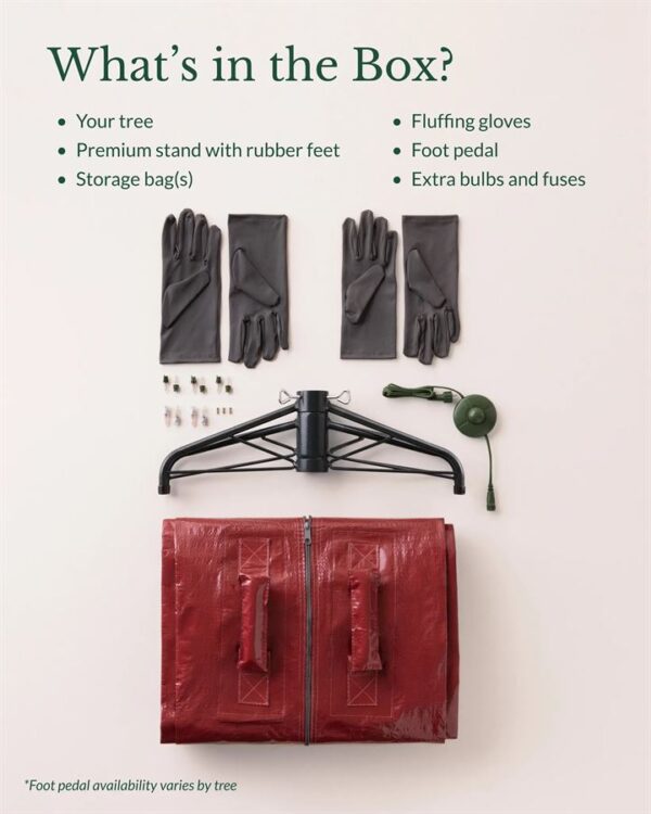 Stratford Spruce® Trees - Image 10