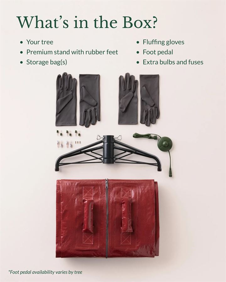 Classic Blue Spruce® Trees - Image 15