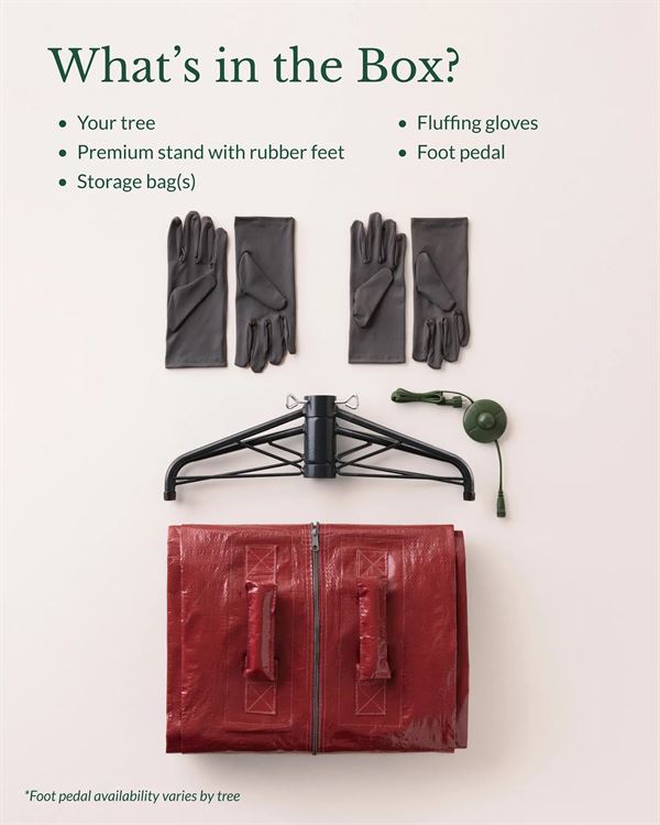 BH Balsam Fir® Trees - Image 7