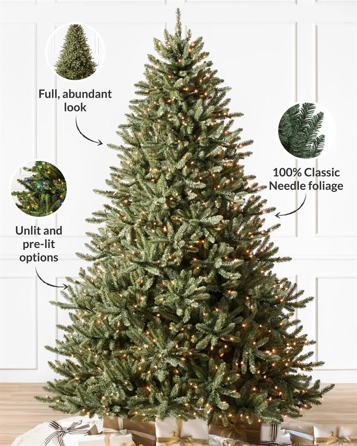 Classic Blue Spruce® Trees - Image 7