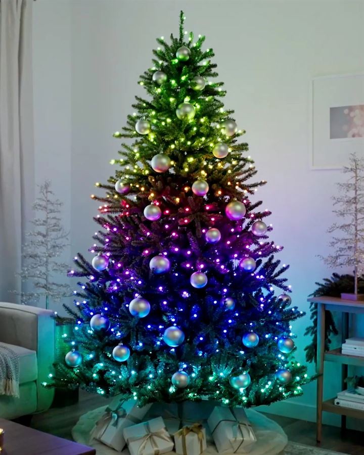 Classic Blue Spruce® Trees - Image 6