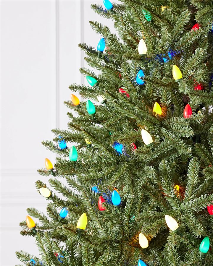 Classic Blue Spruce® Trees - Image 14