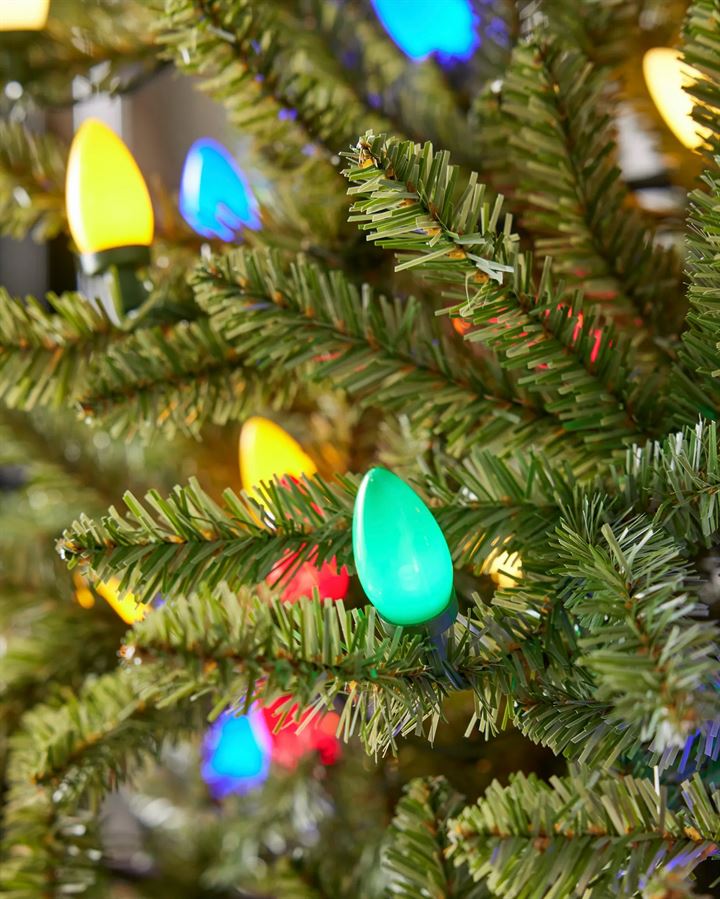 Classic Blue Spruce® Trees - Image 13