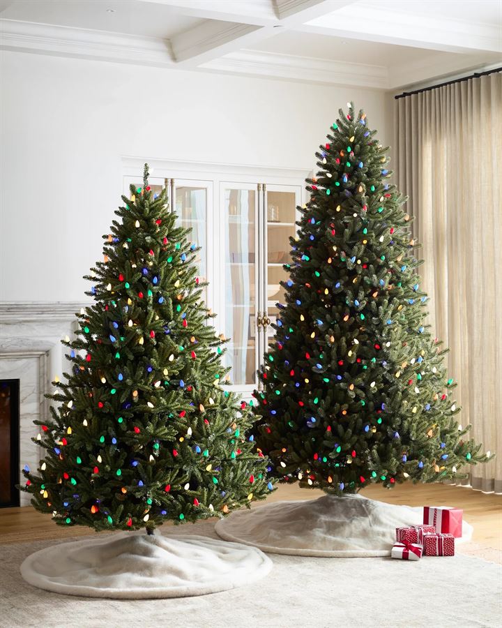 Classic Blue Spruce® Trees - Image 8