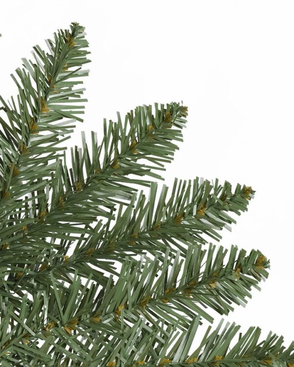 Berkshire Mountain Fir® Trees - Image 3