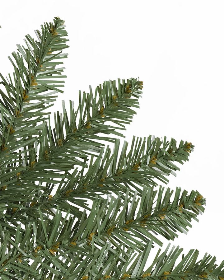 Berkshire Mountain Fir® Trees - Image 3