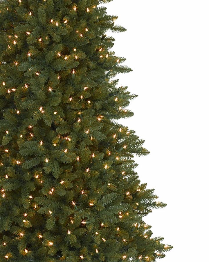 Berkshire Mountain Fir® Trees - Image 2