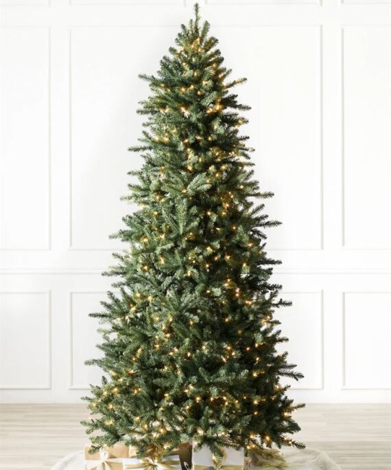 Berkshire Mountain Fir® Trees