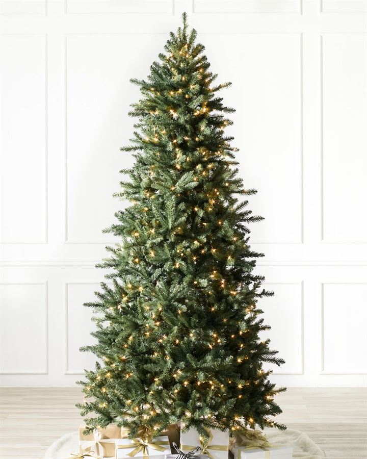 Berkshire Mountain Fir® Trees