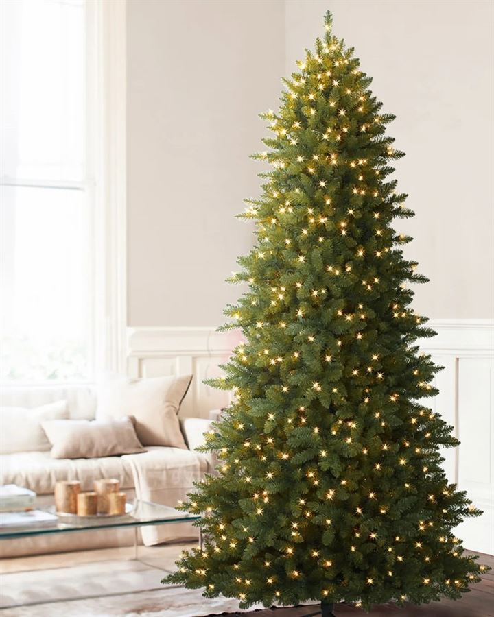 Berkshire Mountain Fir® Trees - Image 7