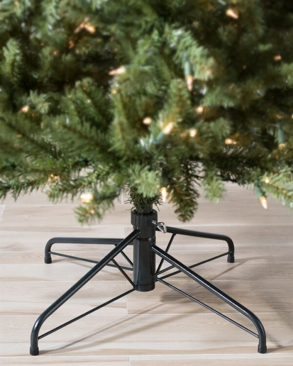 Berkshire Mountain Fir® Trees - Image 5