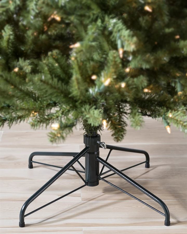 Berkshire Mountain Fir® Trees - Image 5