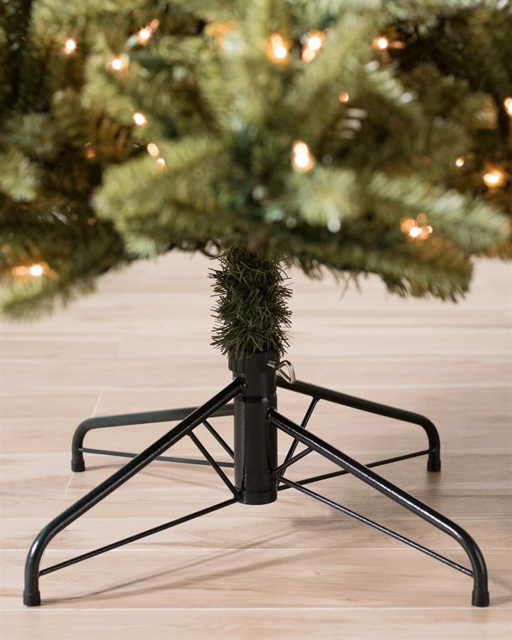 Classic Blue Spruce® Trees - Image 10