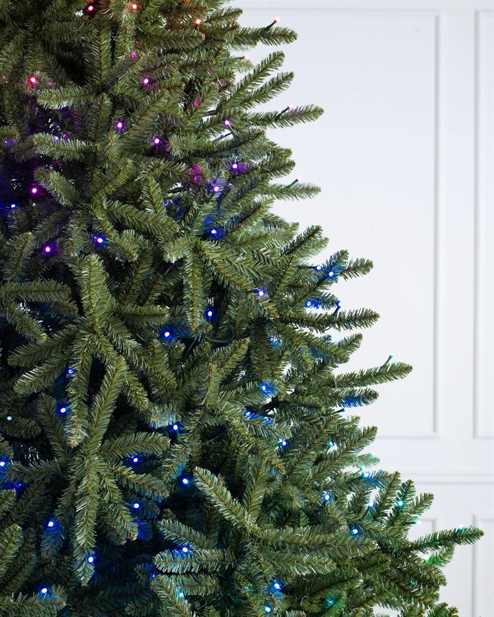 Classic Blue Spruce® Trees - Image 4