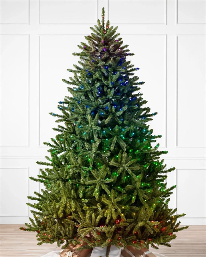 Classic Blue Spruce® Trees - Image 2