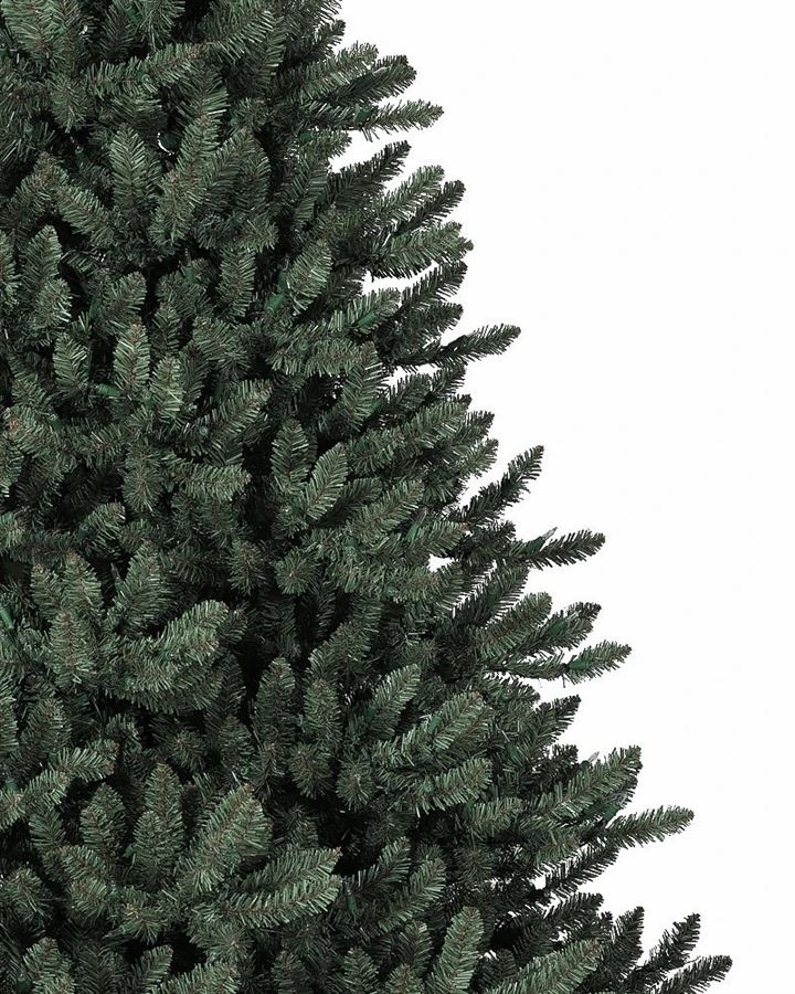 Classic Blue Spruce® Trees - Image 3