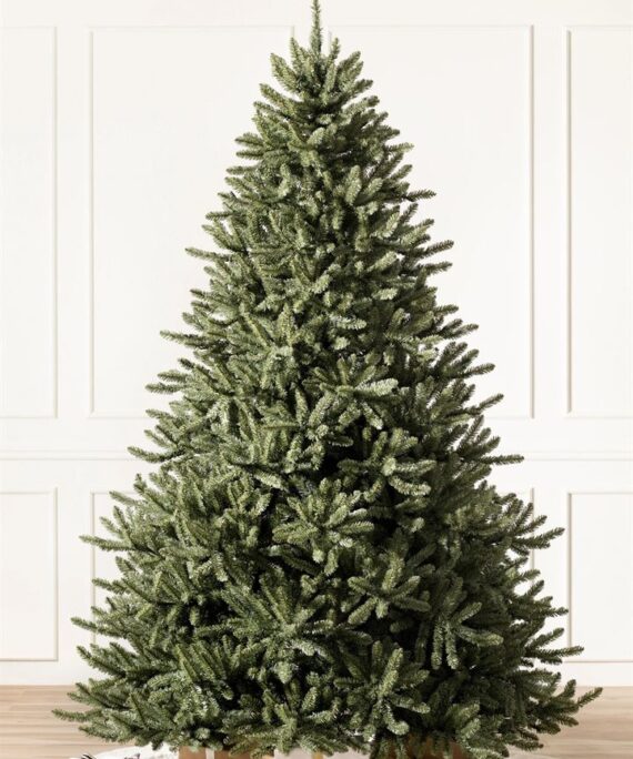 Classic Blue Spruce® Trees