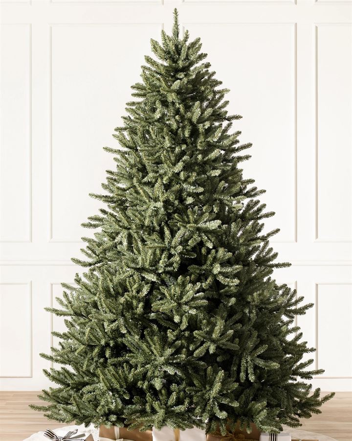 Classic Blue Spruce® Trees