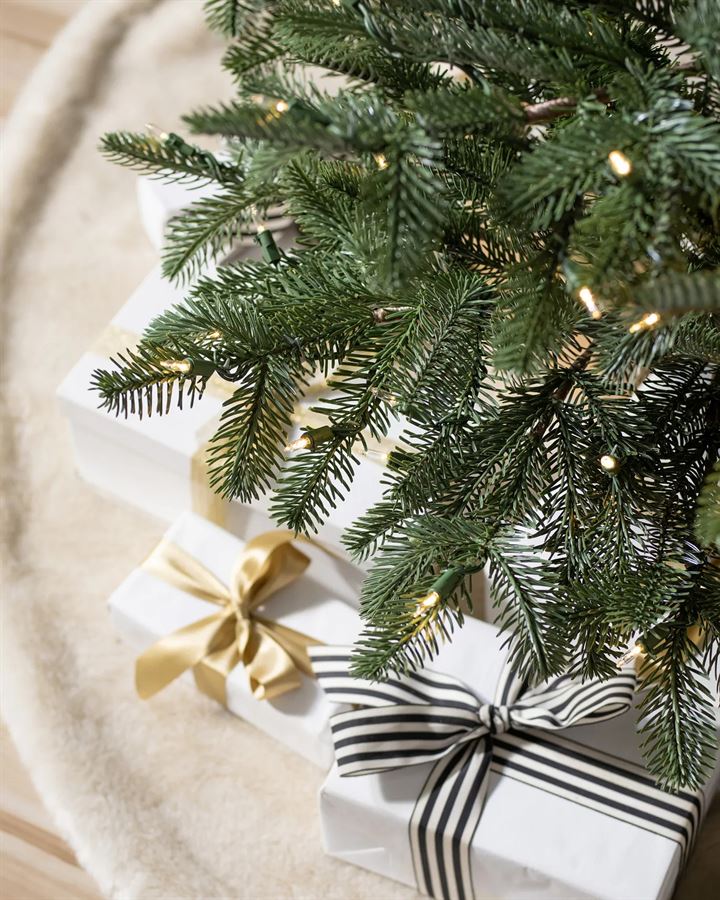 European Fir® Trees - Image 5