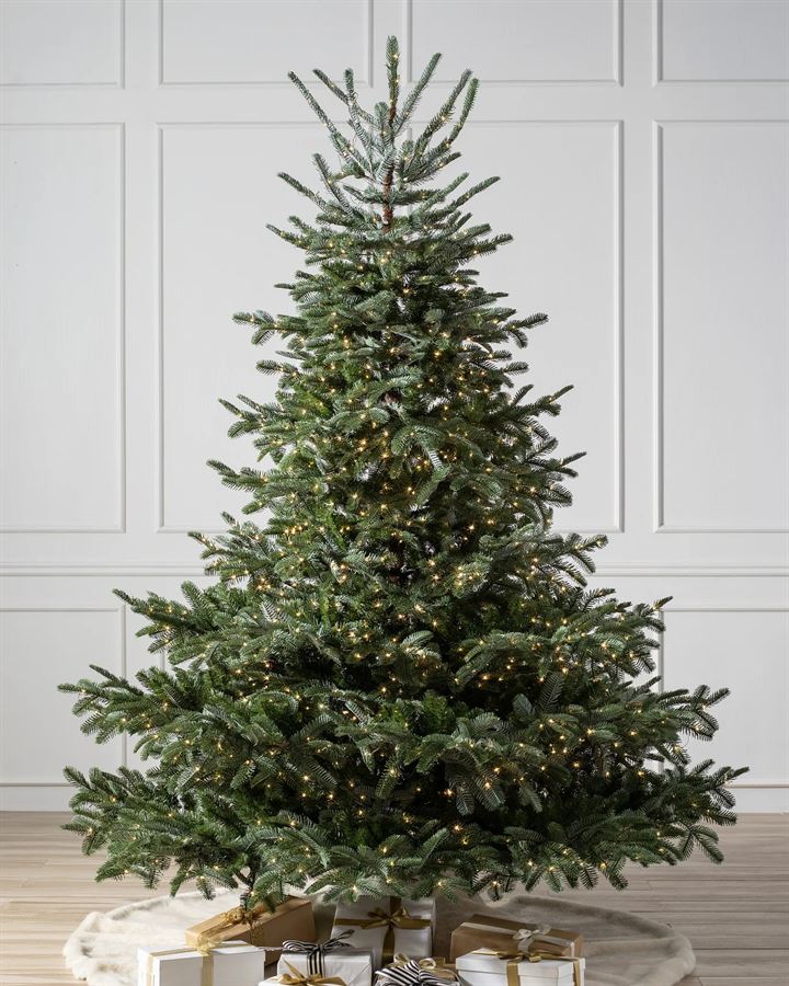 European Fir® Trees