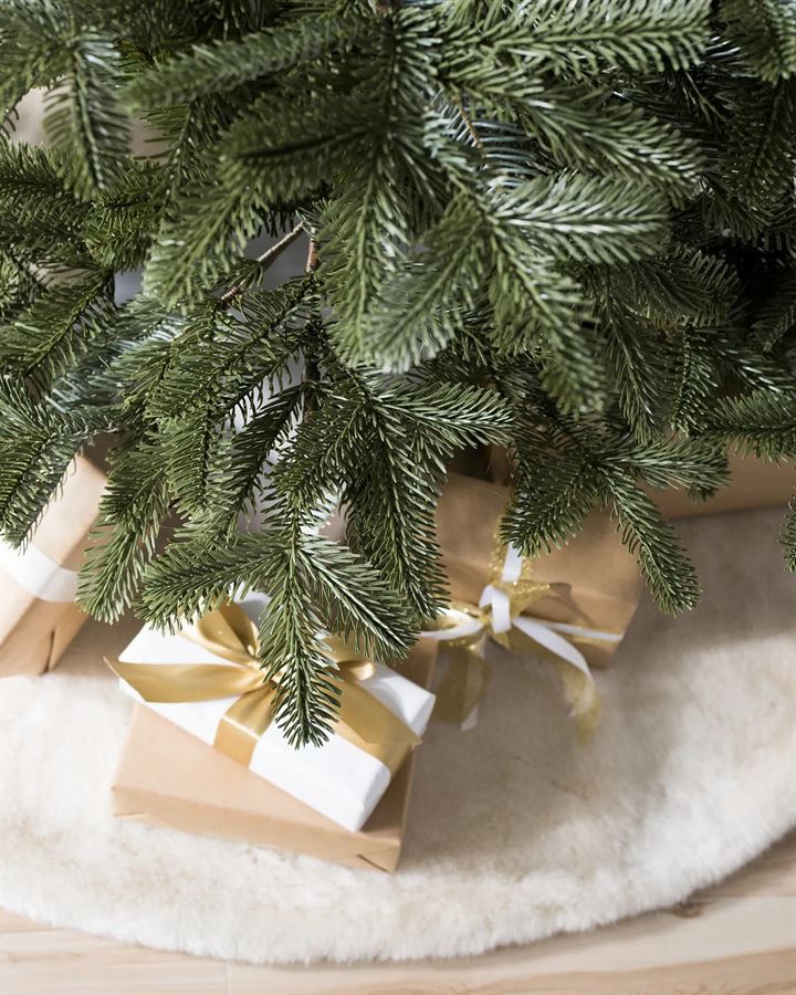 European Fir® Trees - Image 6