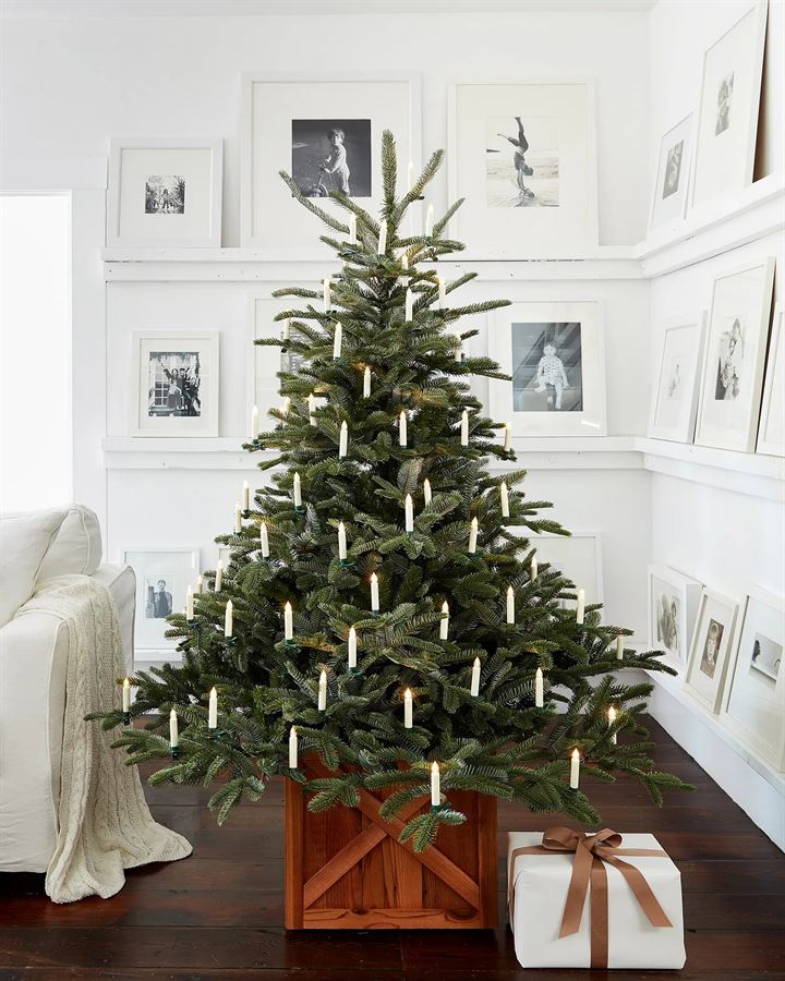European Fir® Trees - Image 7