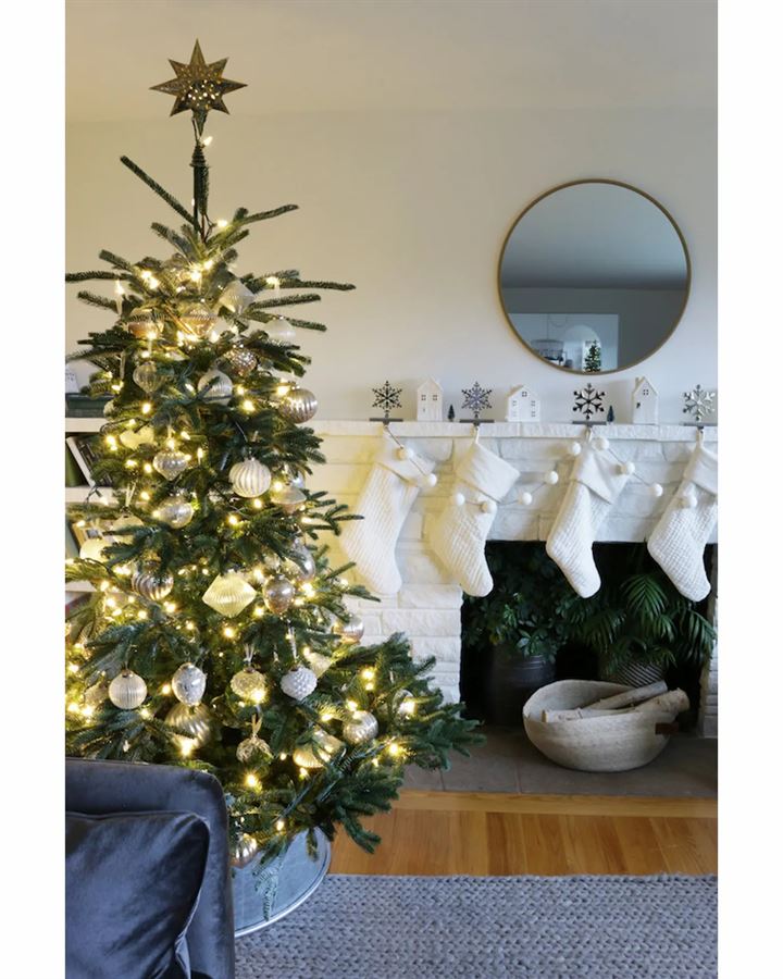 European Fir® Trees - Image 8