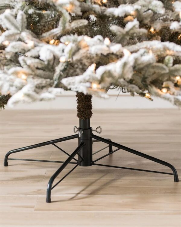 Frosted Fraser Fir® Trees - Image 6