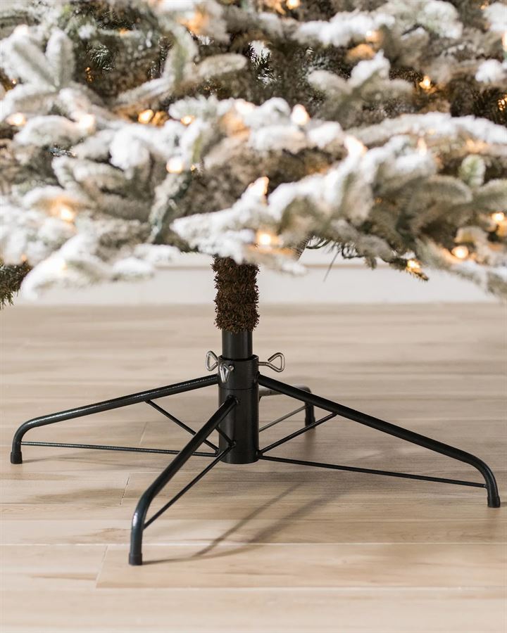 Frosted Fraser Fir® Trees - Image 6