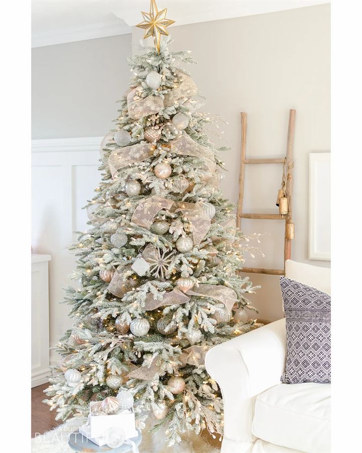 Frosted Fraser Fir® Trees - Image 12