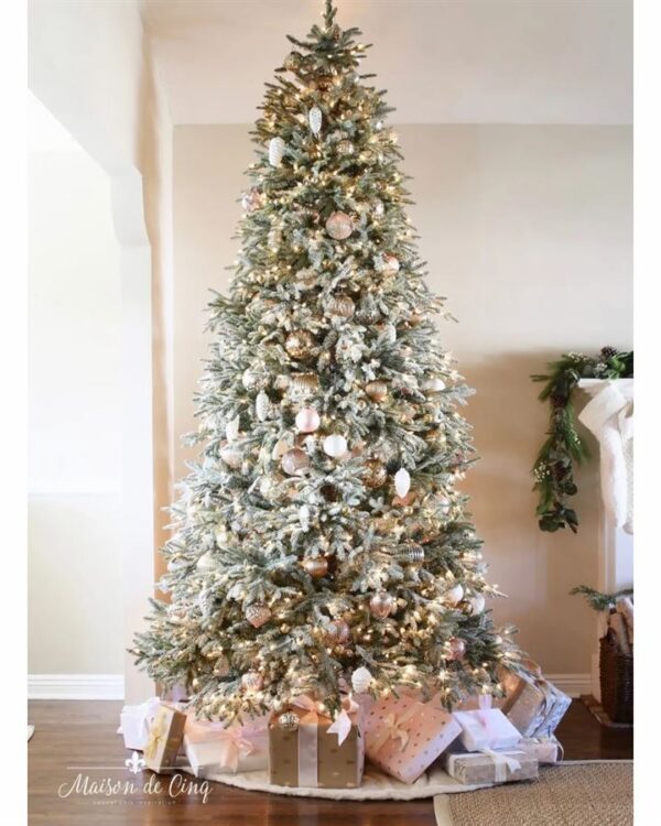 Frosted Fraser Fir® Trees - Image 15