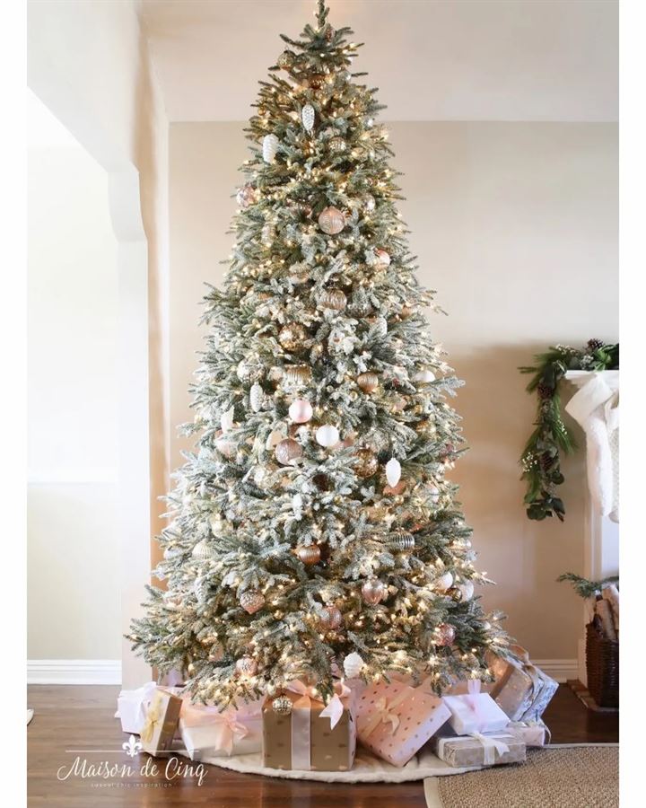 Frosted Fraser Fir® Trees - Image 15
