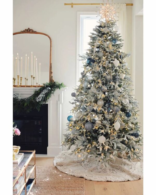 Frosted Fraser Fir® Trees - Image 16