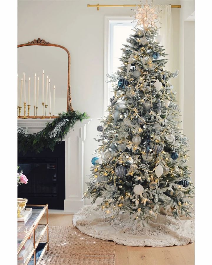 Frosted Fraser Fir® Trees - Image 16