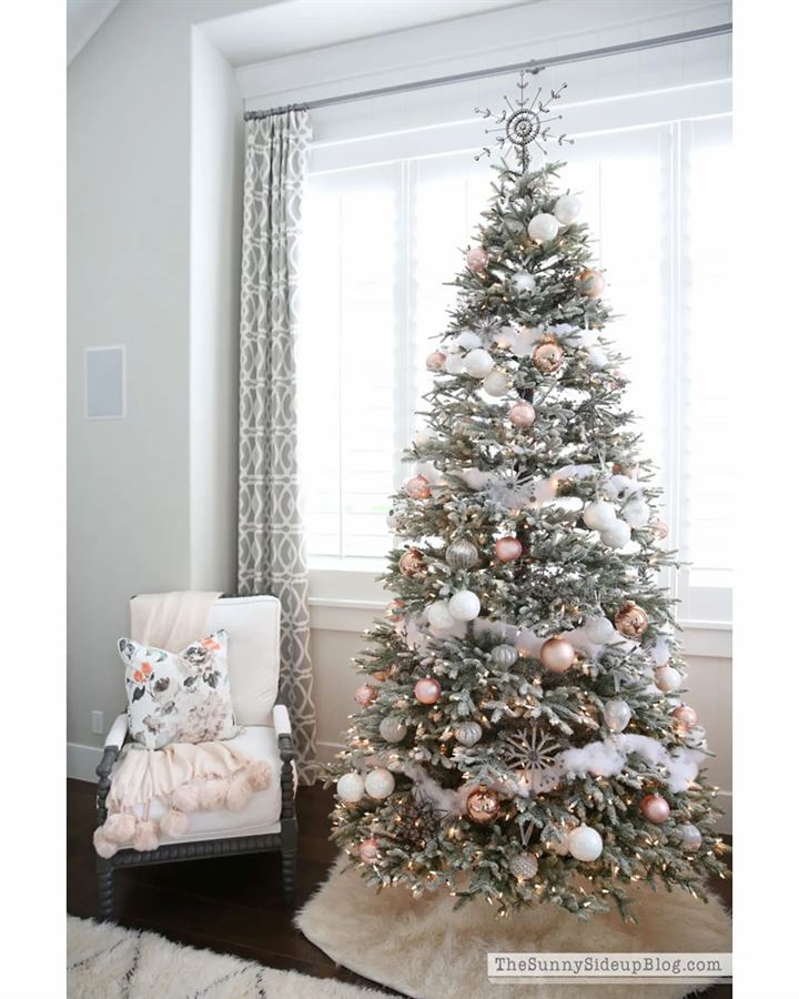 Frosted Fraser Fir® Trees - Image 5