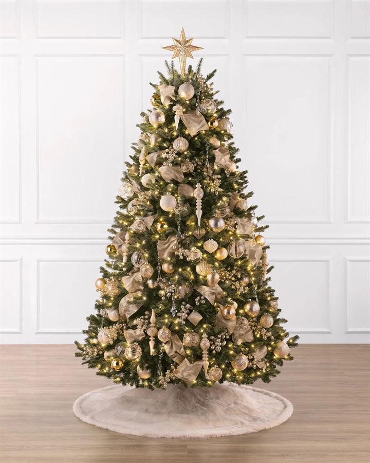 BH Fraser Fir Trees - Image 10