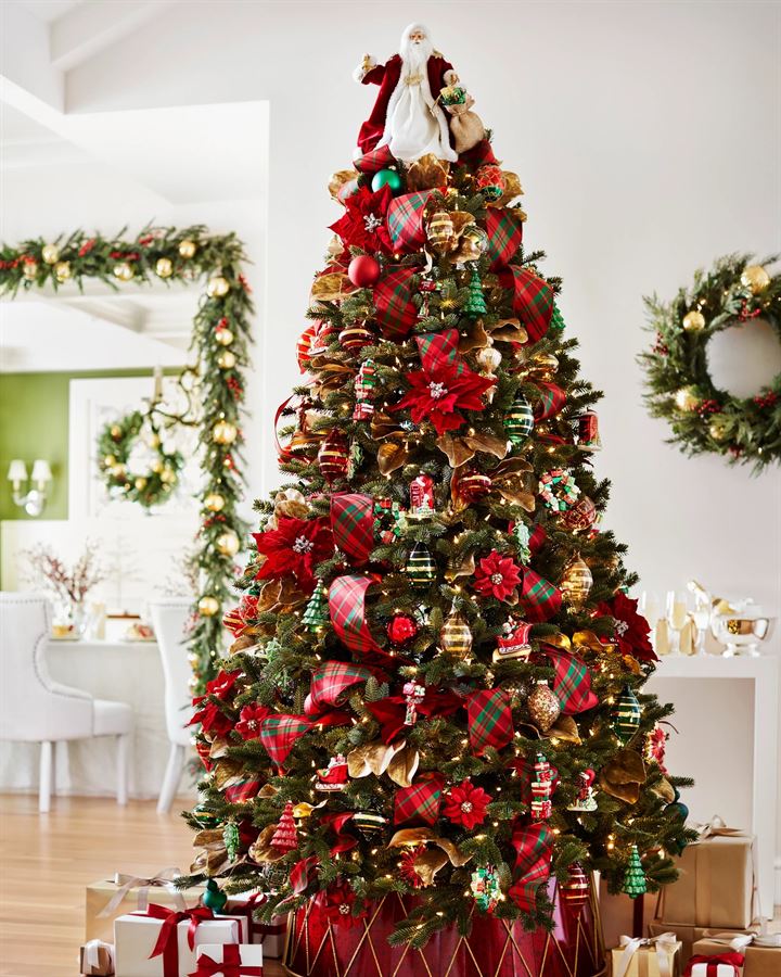 BH Fraser Fir Trees - Image 12
