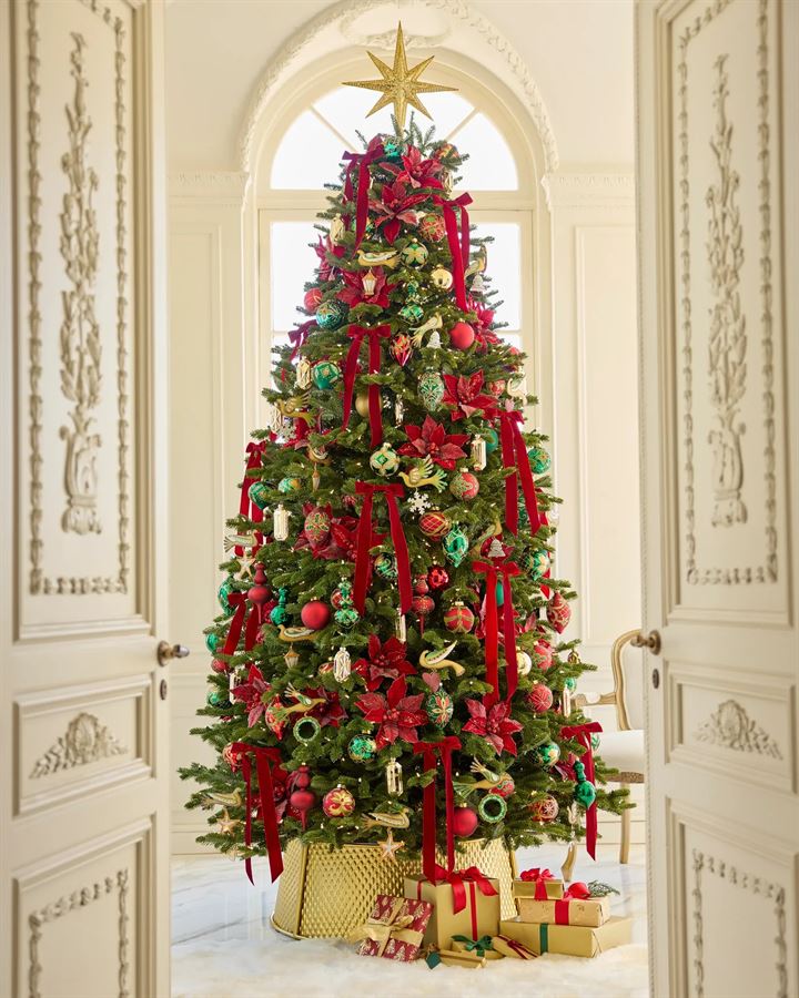 BH Fraser Fir Trees - Image 11