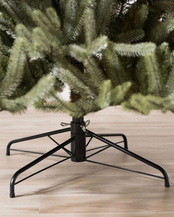 Sanibel Spruce® Trees - Image 5