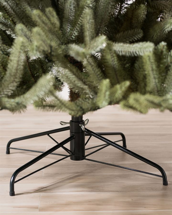 Sanibel Spruce® Trees - Image 5