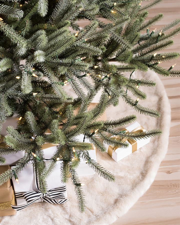 Sanibel Spruce® Trees - Image 6