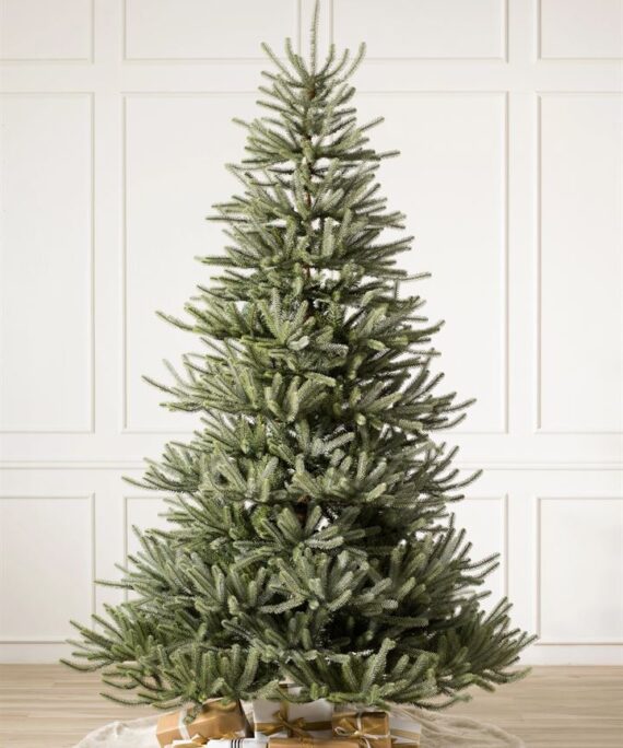 Sanibel Spruce® Trees